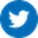 twitter-logo-button